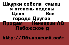 Шкурки соболя (самец) 1-я степень седены › Цена ­ 12 000 - Все города Другое » Продам   . Ненецкий АО,Лабожское д.